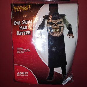 Halloween Costume/Men's/Evil Skull Madhatter/Adult